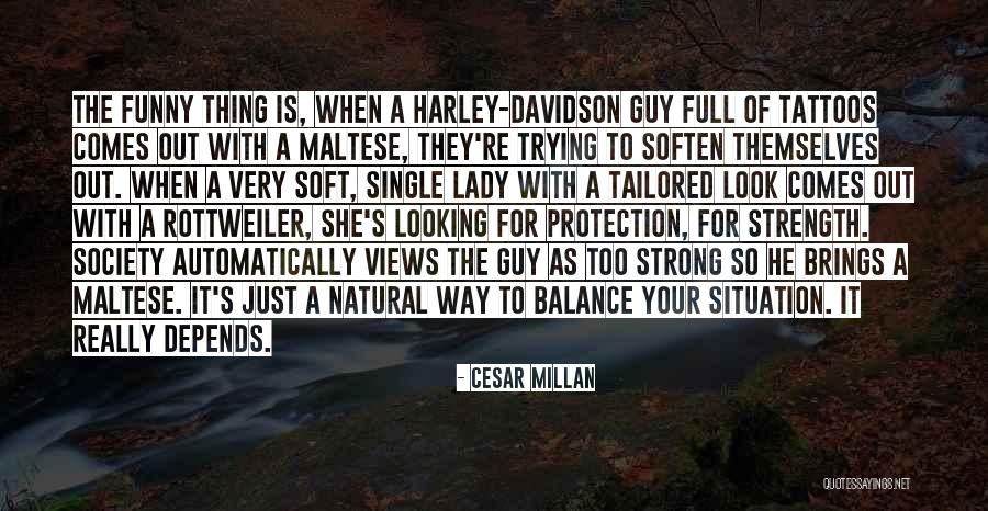 Cesar Millan Quotes 392630 Cesar Millan Quotes 392630