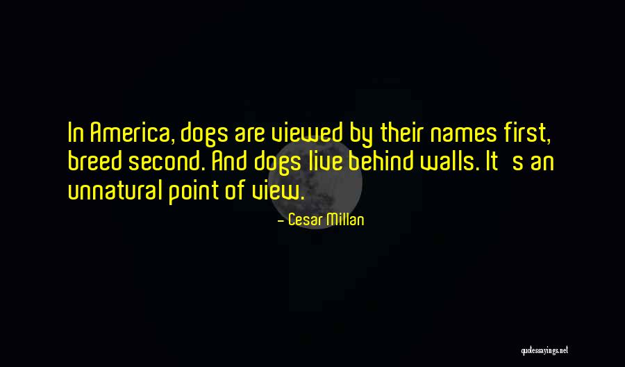 Cesar Millan Quotes 494403 Cesar Millan Quotes 494403