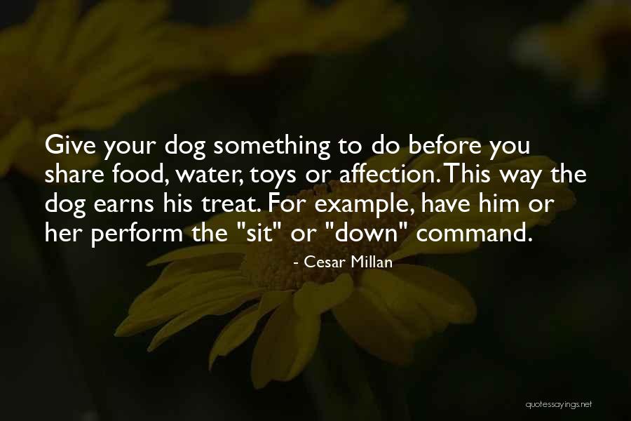 Cesar Millan Quotes 524894 Cesar Millan Quotes 524894