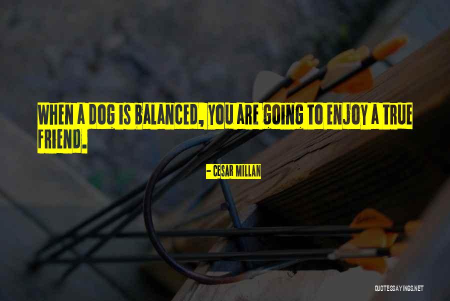 Cesar Millan Quotes 576435 Cesar Millan Quotes 576435