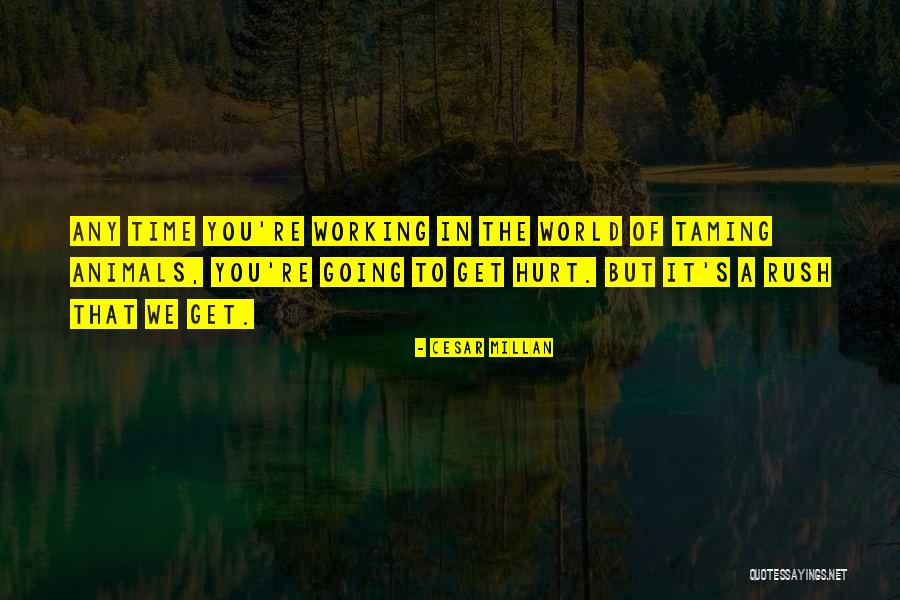 Cesar Millan Quotes 596525 Cesar Millan Quotes 596525