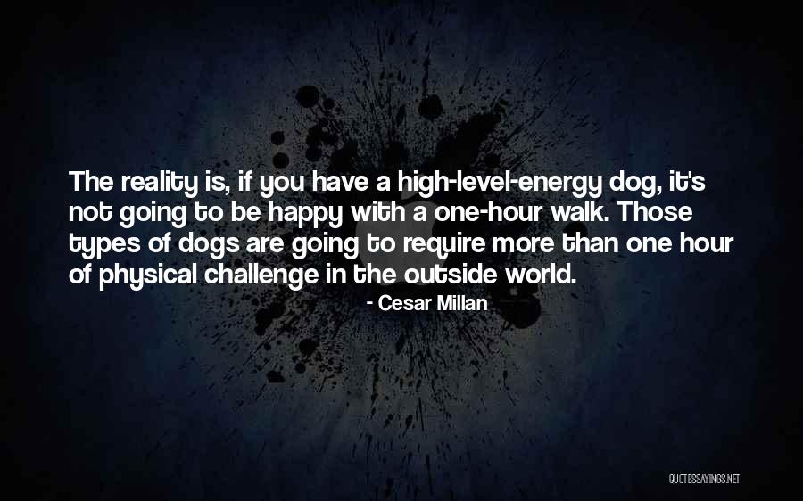 Cesar Millan Quotes 622576 Cesar Millan Quotes 622576