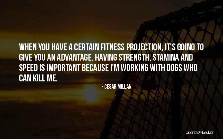 Cesar Millan Quotes 630456 Cesar Millan Quotes 630456