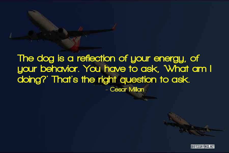 Cesar Millan Quotes 644403 Cesar Millan Quotes 644403