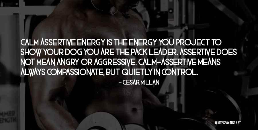 Cesar Millan Quotes 667600 Cesar Millan Quotes 667600