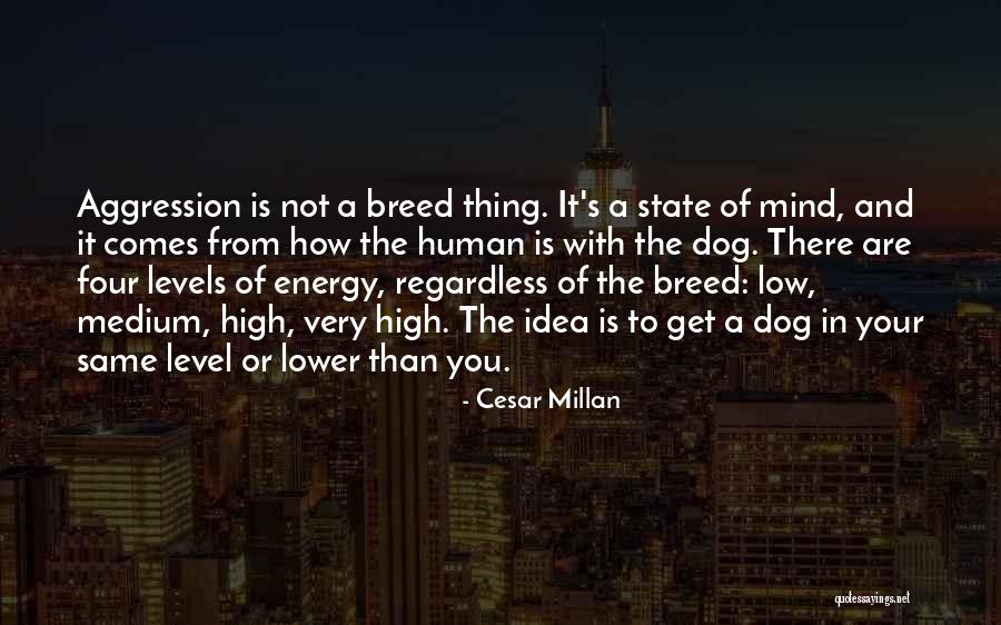 Cesar Millan Quotes 667796 Cesar Millan Quotes 667796