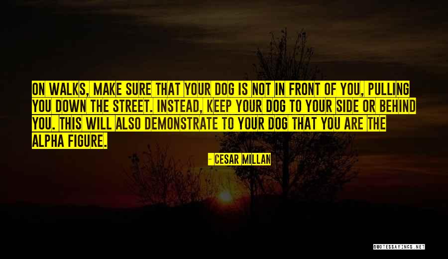 Cesar Millan Quotes 679377 Cesar Millan Quotes 679377