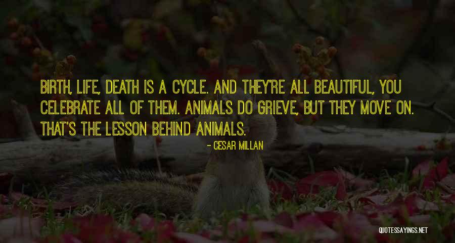 Cesar Millan Quotes 692025 Cesar Millan Quotes 692025