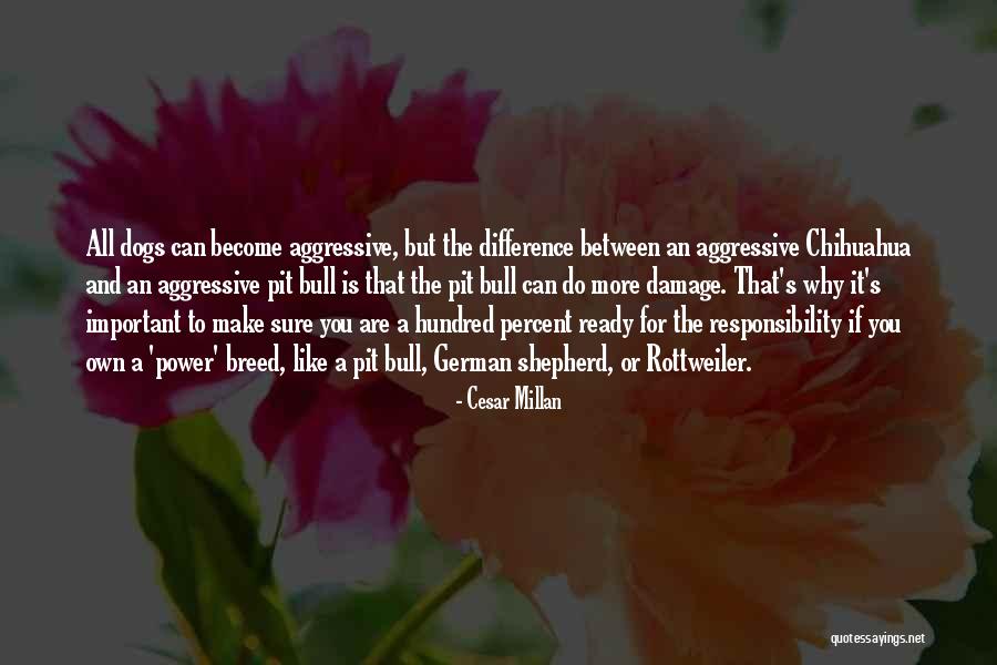 Cesar Millan Quotes 756676 Cesar Millan Quotes 756676