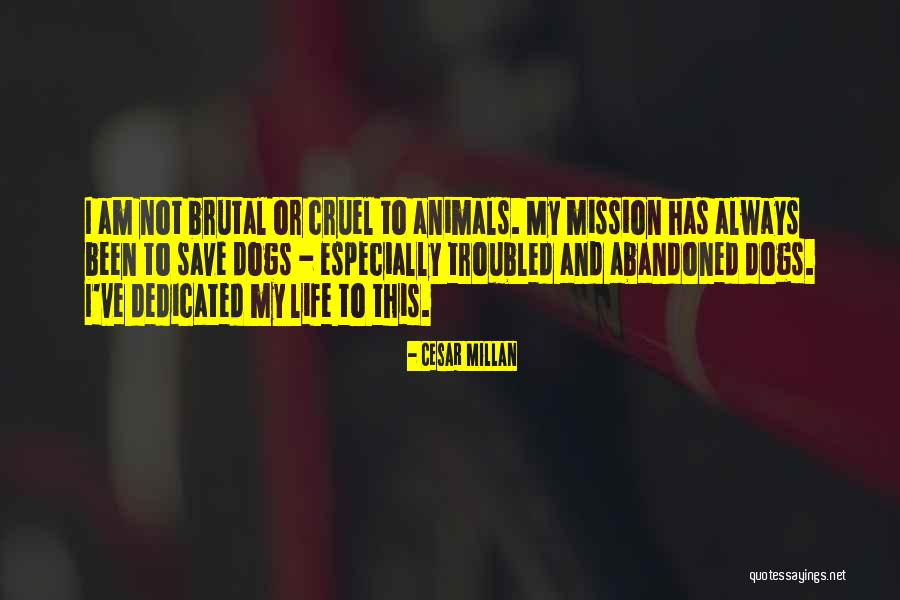 Cesar Millan Quotes 76155 Cesar Millan Quotes 76155