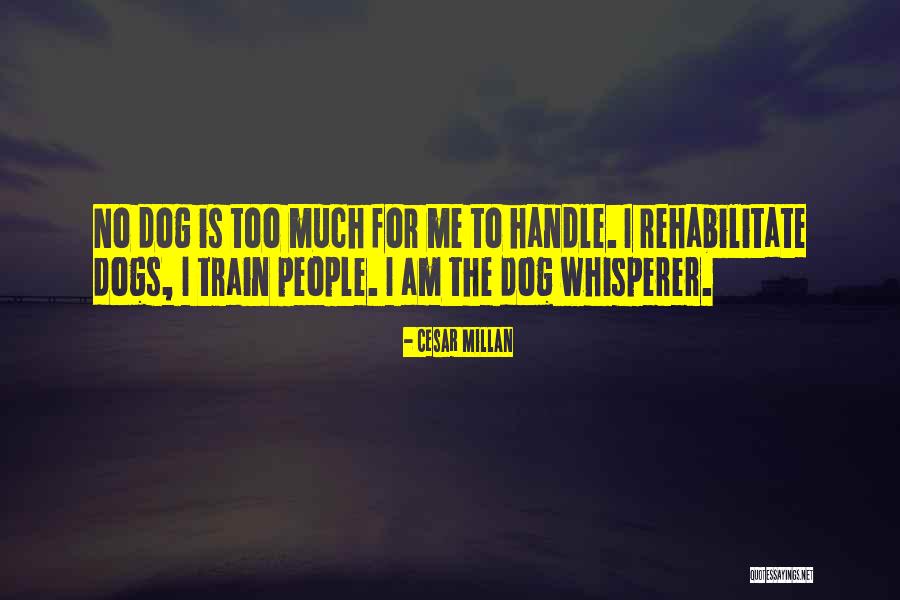 Cesar Millan Quotes 779751 Cesar Millan Quotes 779751