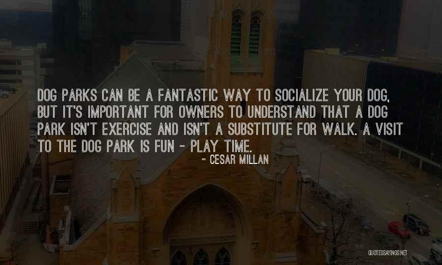 Cesar Millan Quotes 787720 Cesar Millan Quotes 787720