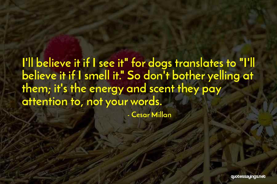 Cesar Millan Quotes 790011 Cesar Millan Quotes 790011