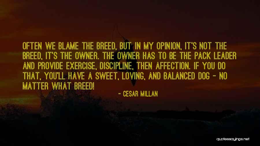 Cesar Millan Quotes 807009 Cesar Millan Quotes 807009