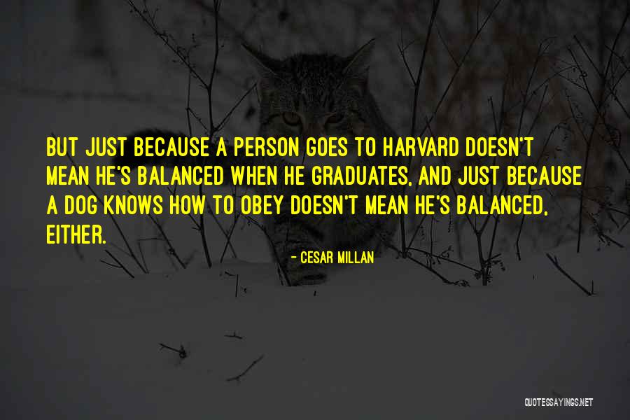 Cesar Millan Quotes 944263 Cesar Millan Quotes 944263