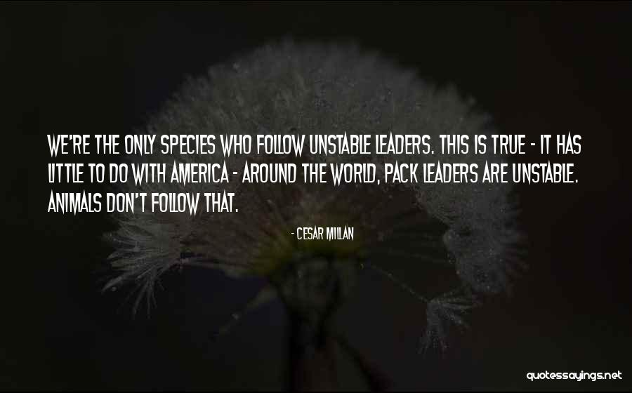 Cesar Millan Quotes 946838 Cesar Millan Quotes 946838