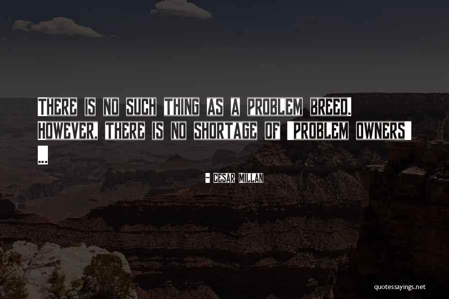 Cesar Millan Quotes 947256 Cesar Millan Quotes 947256