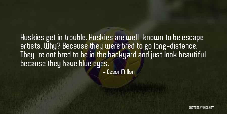 Cesar Millan Quotes 98994 Cesar Millan Quotes 98994