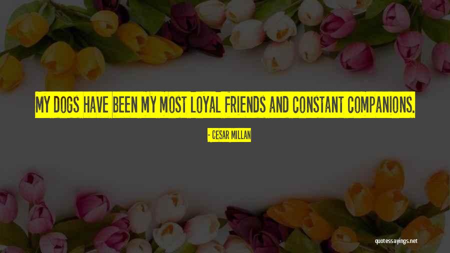 Cesar Millan Quotes 99893 Cesar Millan Quotes 99893