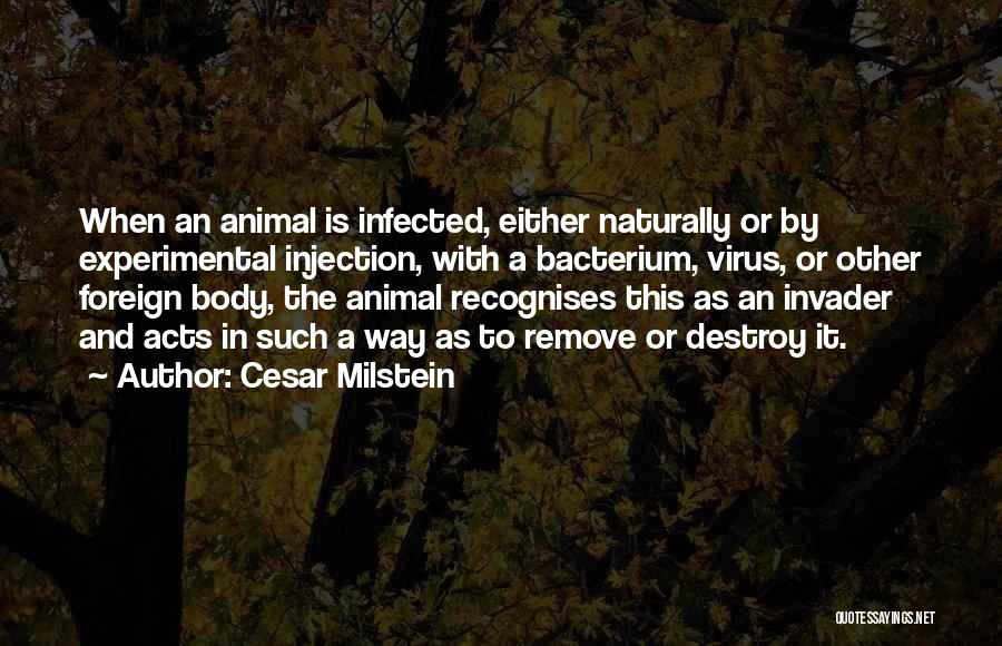 Cesar Milstein Quotes 1741291