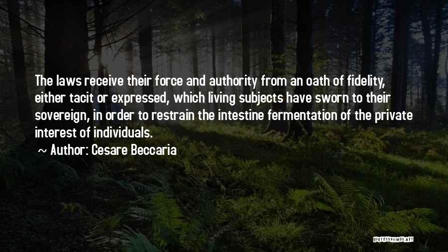 Cesare Beccaria Quotes 1076167