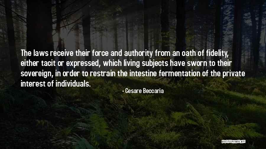 Cesare Beccaria Quotes 1076167