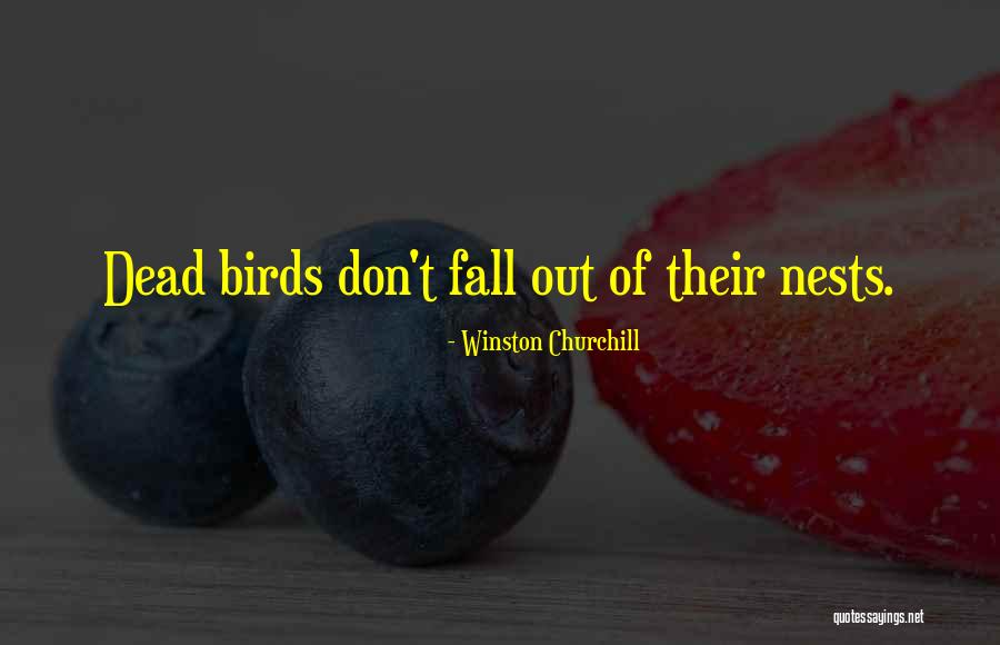 Cesarean Operation Quotes By Winston Churchill Cesarean Operation Quotes By Winston Churchill