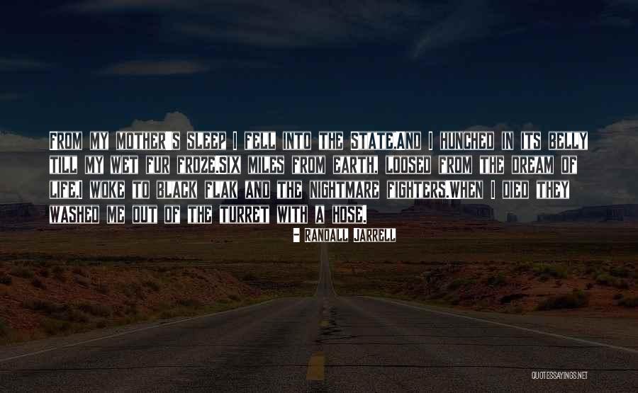 Cesaroni Rocket Quotes By Randall Jarrell Cesaroni Rocket Quotes By Randall Jarrell