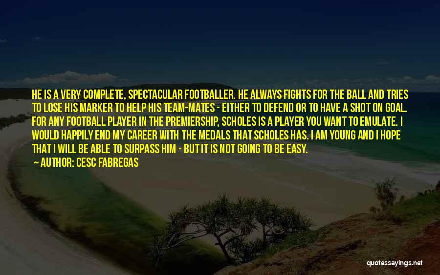 Cesc Fabregas Quotes 2171768