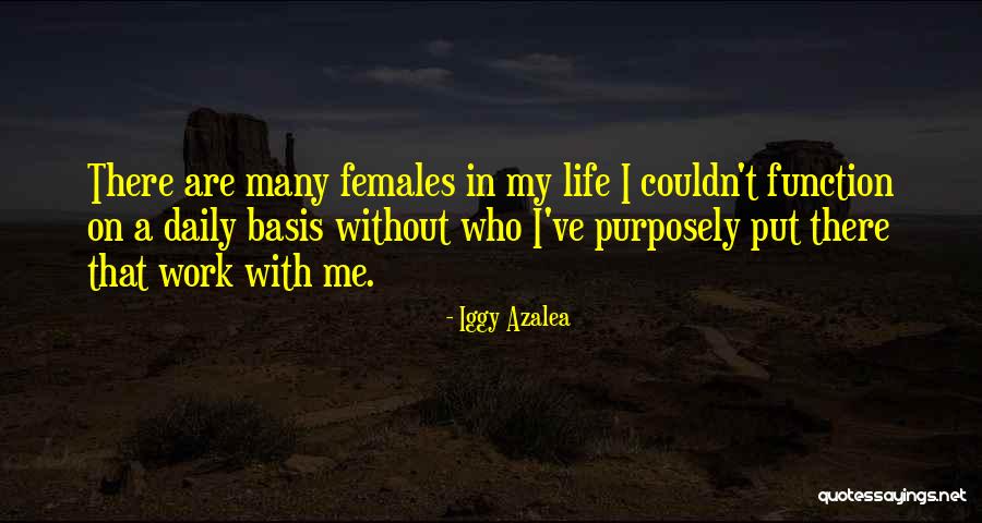 Cesme Belediyesi Quotes By Iggy Azalea Cesme Belediyesi Quotes By Iggy Azalea