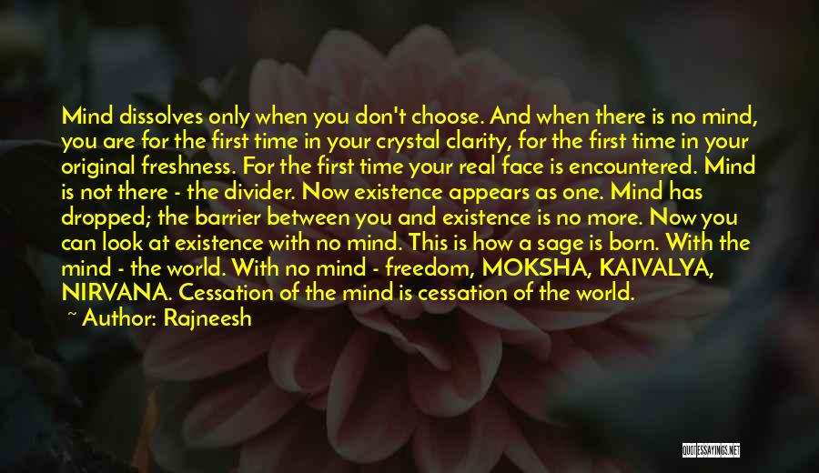 Cessation Quotes By Rajneesh