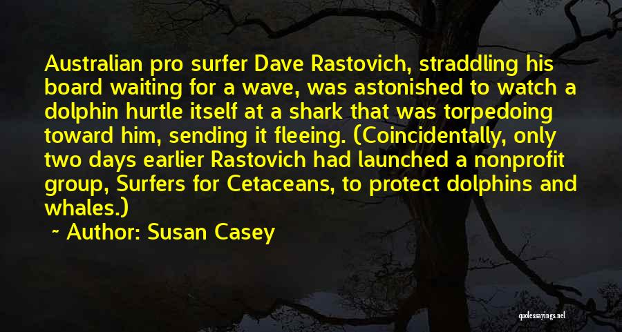 Cetaceans Quotes By Susan Casey