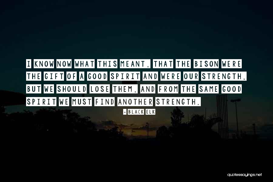 Ceticismo Mitigado Quotes By Black Elk Ceticismo Mitigado Quotes By Black Elk