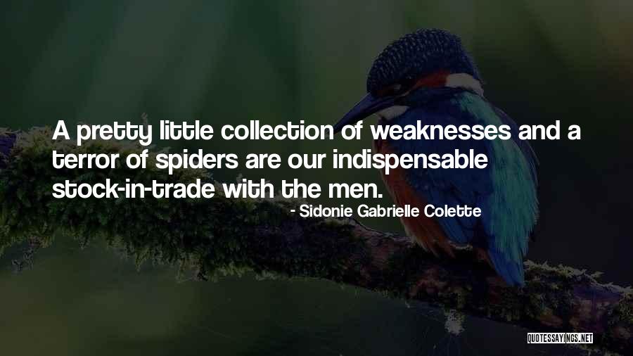 Cetim Tunisie Quotes By Sidonie Gabrielle Colette Cetim Tunisie Quotes By Sidonie Gabrielle Colette