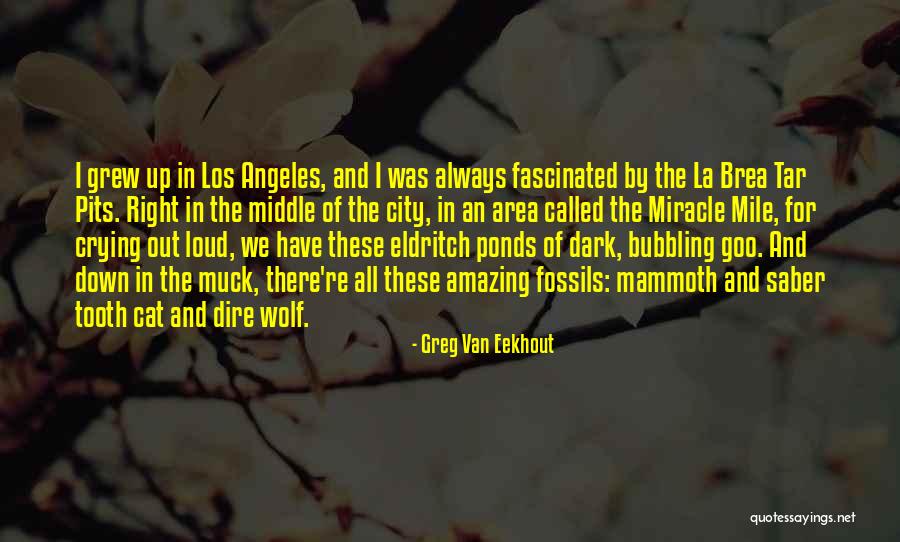 Ceufast Quotes By Greg Van Eekhout Ceufast Quotes By Greg Van Eekhout