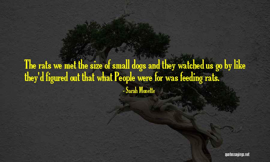 Ceyda Duvenci Quotes By Sarah Monette Ceyda Duvenci Quotes By Sarah Monette