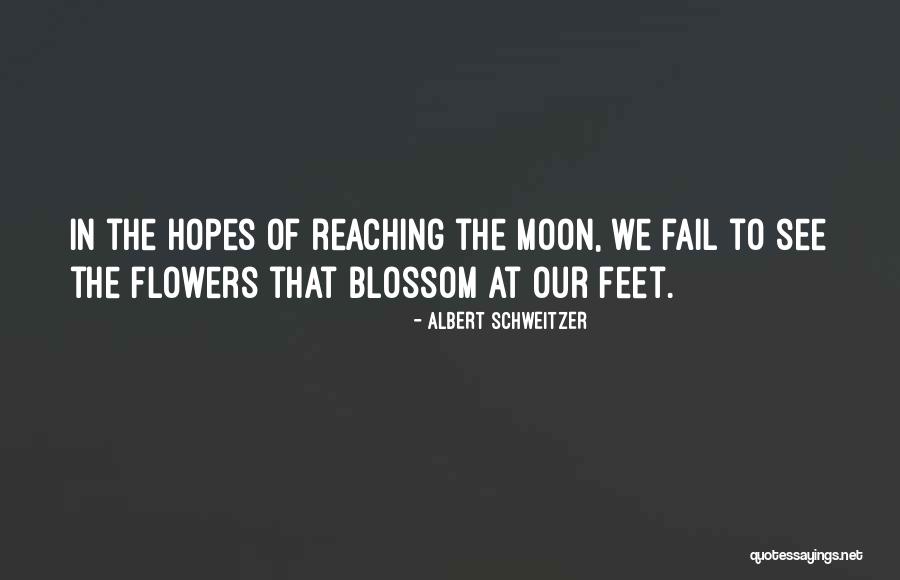 Cezaevi Nedi R Quotes By Albert Schweitzer Cezaevi Nedi R Quotes By Albert Schweitzer