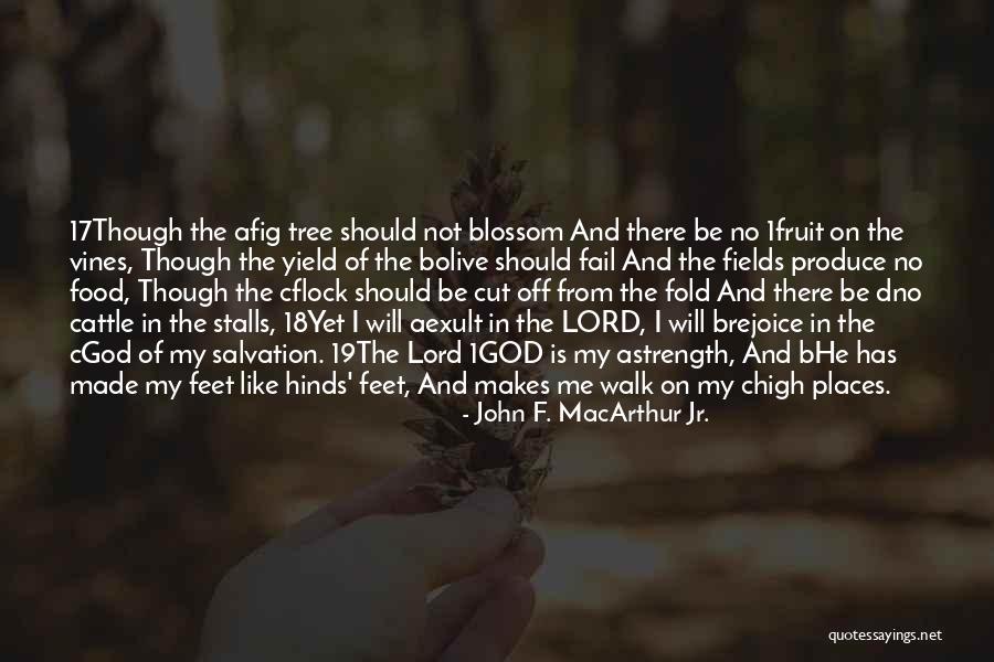 Cgod Quotes By John F. MacArthur Jr. Cgod Quotes By John F. MacArthur Jr.