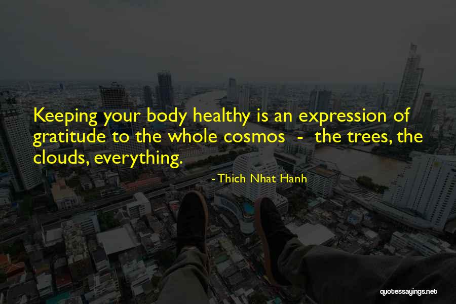 Chabane Rachid Quotes By Thich Nhat Hanh Chabane Rachid Quotes By Thich Nhat Hanh