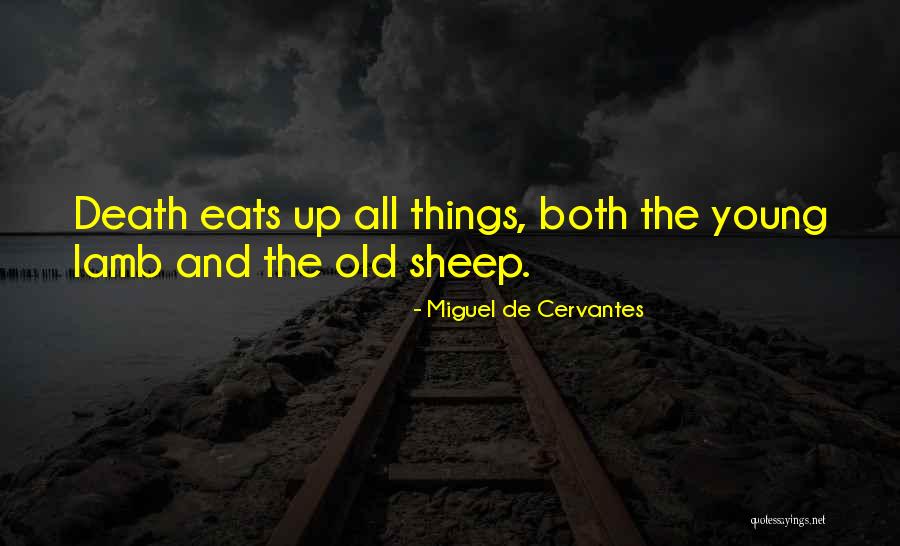 Chacos Shoes Quotes By Miguel De Cervantes Chacos Shoes Quotes By Miguel De Cervantes