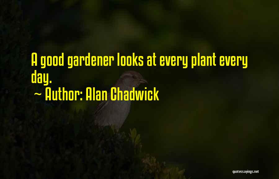 Chadwick Quotes By Alan Chadwick