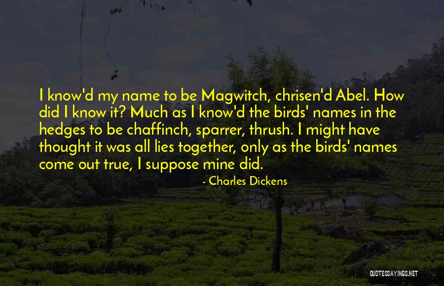 Chaffinch Quotes By Charles Dickens Chaffinch Quotes By Charles Dickens