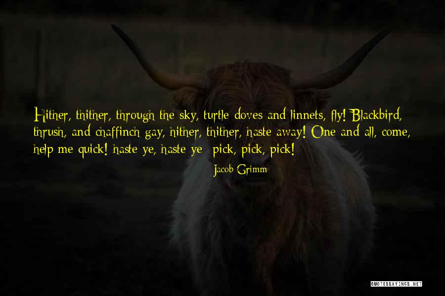 Chaffinch Quotes By Jacob Grimm Chaffinch Quotes By Jacob Grimm