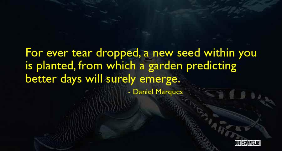 Chagas Parasite Quotes By Daniel Marques Chagas Parasite Quotes By Daniel Marques