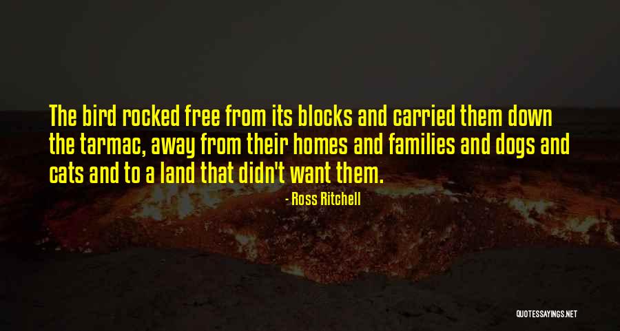 Chaikhoutdinov Marat Quotes By Ross Ritchell Chaikhoutdinov Marat Quotes By Ross Ritchell