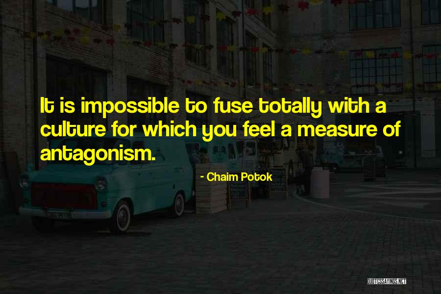 Chaim Potok Quotes 1170148