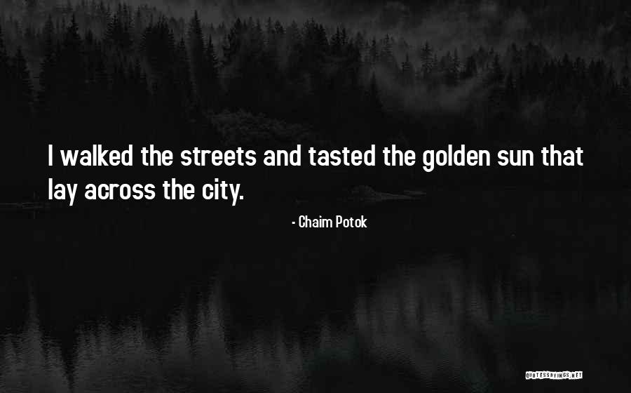 Chaim Potok Quotes 1987041