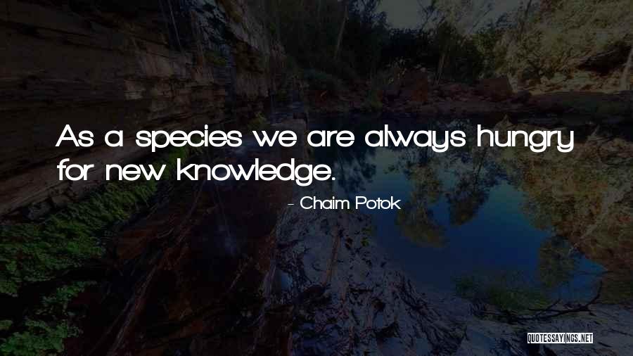 Chaim Potok Quotes 788693