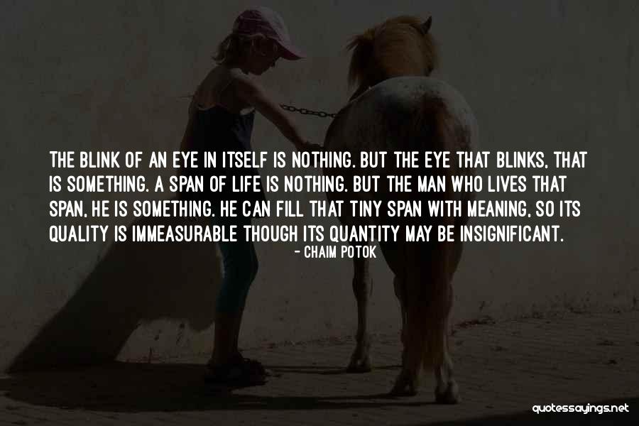 Chaim Potok Quotes 81477