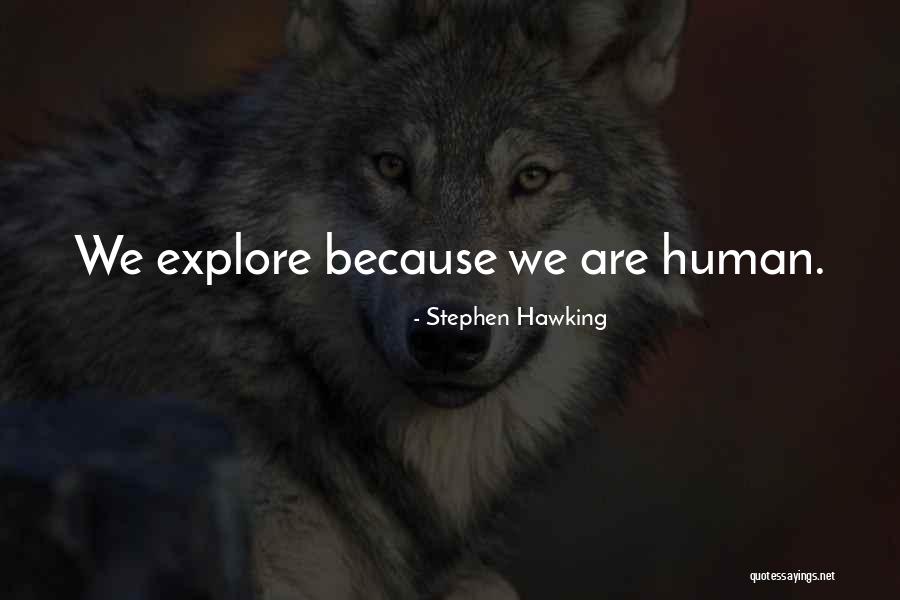 Chaimaa El Quotes By Stephen Hawking Chaimaa El Quotes By Stephen Hawking